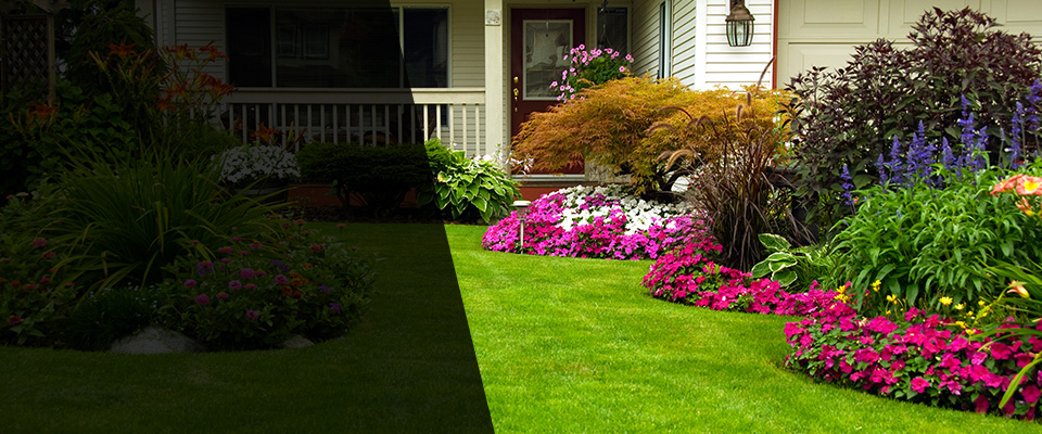 Wills Point Landscapers