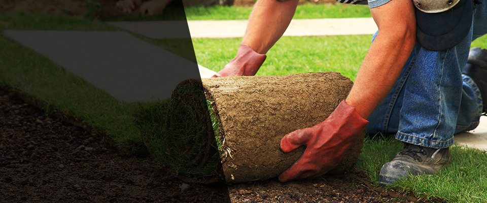 Wills Point Landscapers